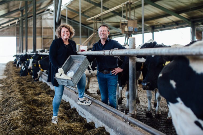 Familie Hanegraaf, boerderij koeien