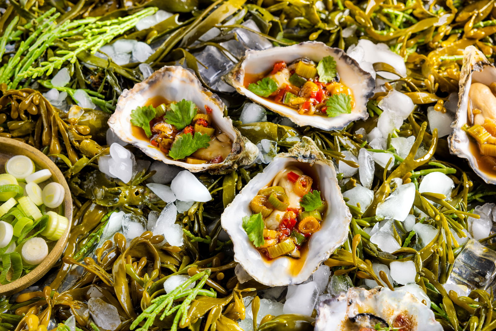 oester met tomasu