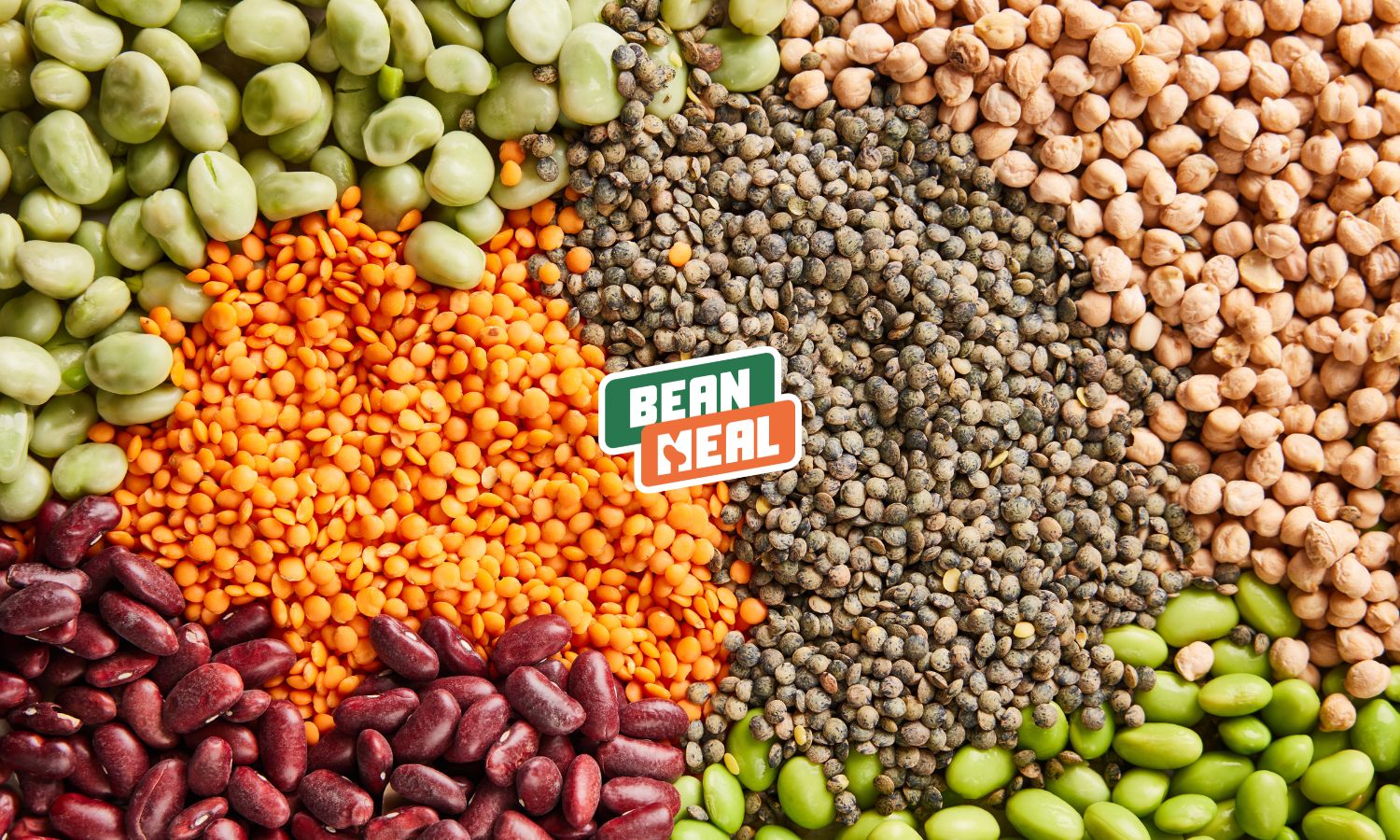 Header BEANMEAL